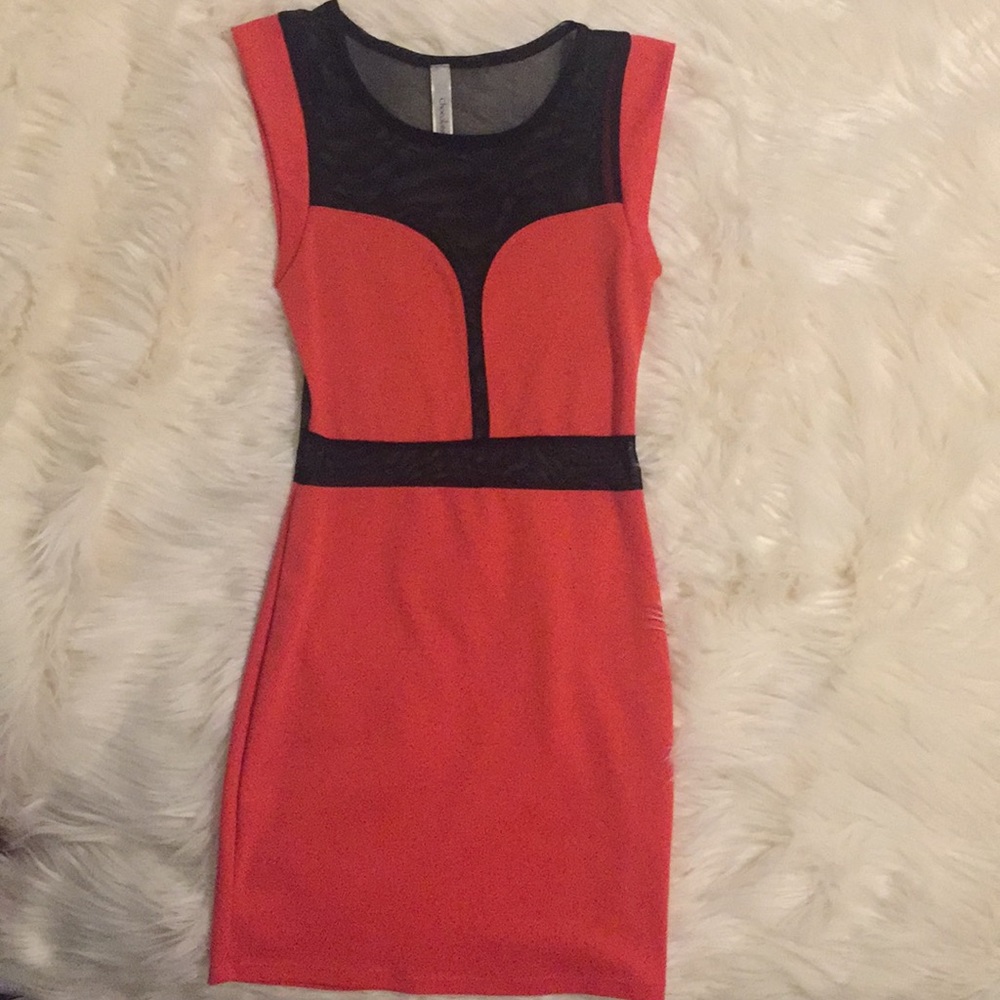 Mesh Bodycon Dress